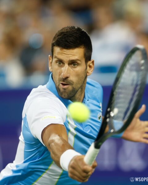 Novak Djokovic to face Carlos Alcaraz in Cincinnati Open final