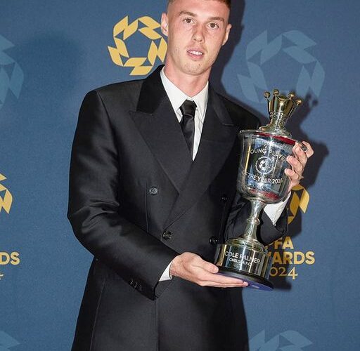 Palmer wins PFA Men’s Young Player of the Year award