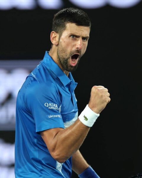 Novak Djokovic advances, progress into fourth round for a 17th time