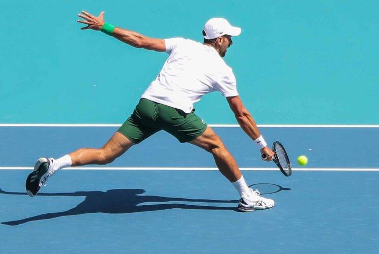 Djokovic, Alcaraz land in same half of Miami draw